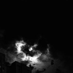 欧美一区二区三区久久精品
